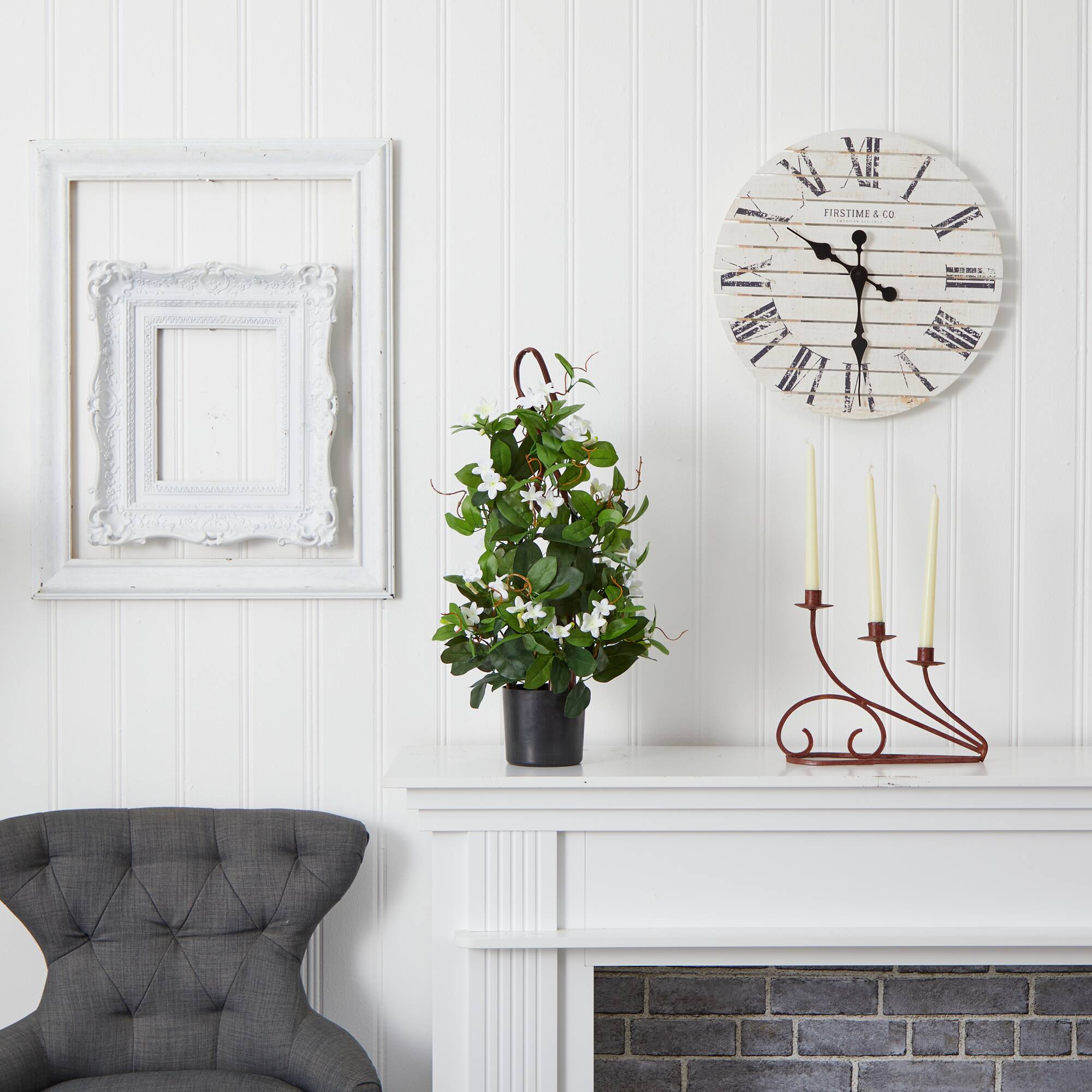 24” Potted White Stephanotis Climbing Plant